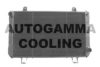 AUTOGAMMA 102095 Radiator, engine cooling